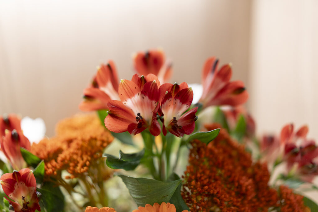 Ihre Psyche -Detailfoto eines Blumenstrauß - Psychotherapie Dr. Ahmad und Dr. Nussbaumer in Eisenstadt